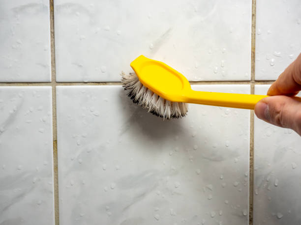 Best Attic Mold Removal  in Whiting, WI