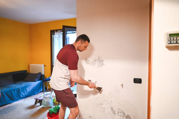Best Home Mold Removal  in Whiting, WI